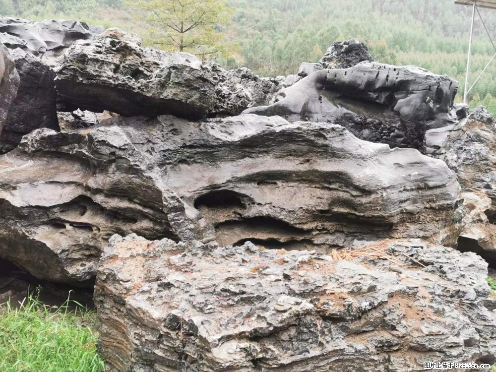 风景石、假山石大量有货，有需要的欢迎联系 - 新手上路 - 广州生活社区 - 广州28生活网 gz.28life.net