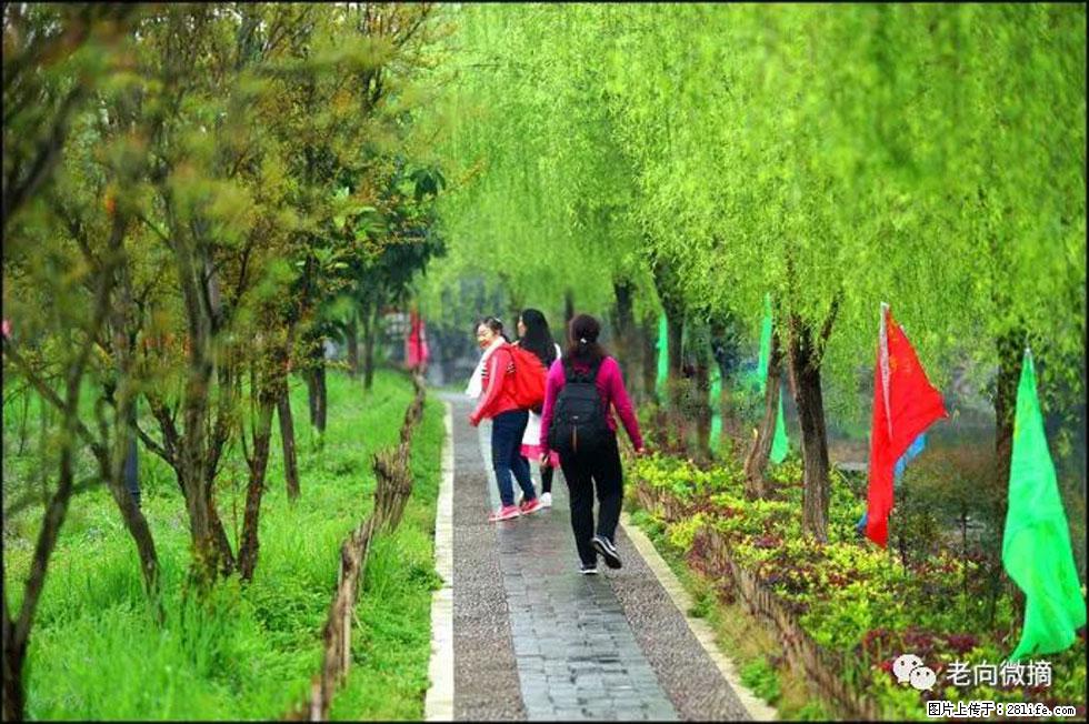 【春天，广西桂林灌阳县向您发出邀请！】江口老街又逢春 - 游山玩水 - 广州生活社区 - 广州28生活网 gz.28life.net