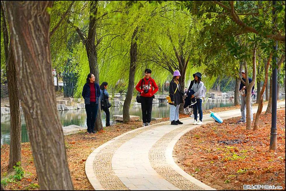 【春天，广西桂林灌阳县向您发出邀请！】江口老街又逢春 - 游山玩水 - 广州生活社区 - 广州28生活网 gz.28life.net