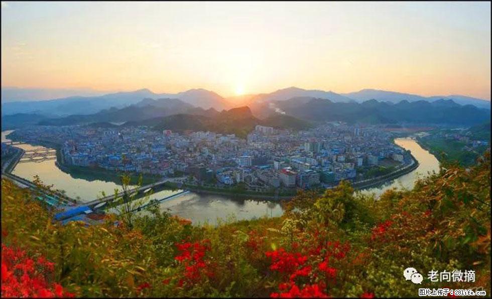 【春天，广西桂林灌阳县向您发出邀请！】登麒麟山，相约映山红 - 游山玩水 - 广州生活社区 - 广州28生活网 gz.28life.net