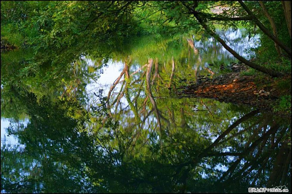 【春天，广西桂林灌阳县向您发出邀请！】熊家寨湿地公园 - 游山玩水 - 广州生活社区 - 广州28生活网 gz.28life.net
