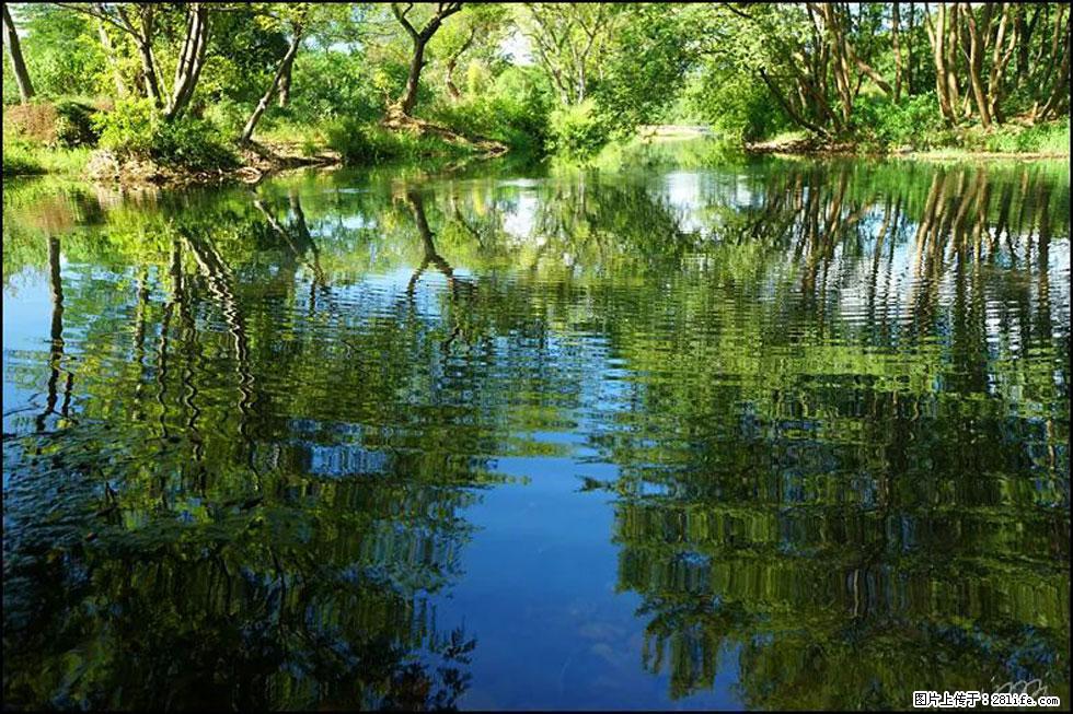 【春天，广西桂林灌阳县向您发出邀请！】熊家寨湿地公园 - 游山玩水 - 广州生活社区 - 广州28生活网 gz.28life.net