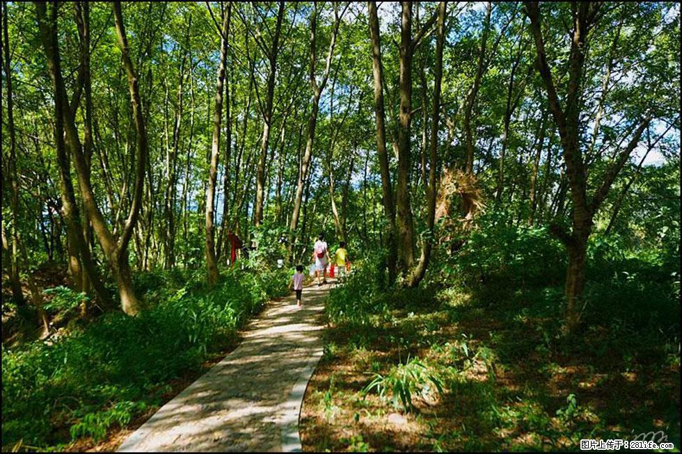 【春天，广西桂林灌阳县向您发出邀请！】熊家寨湿地公园 - 游山玩水 - 广州生活社区 - 广州28生活网 gz.28life.net