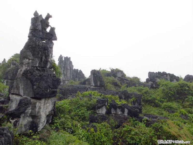 桂林旅游名城景点：灌阳文市石林 - 游山玩水 - 广州生活社区 - 广州28生活网 gz.28life.net