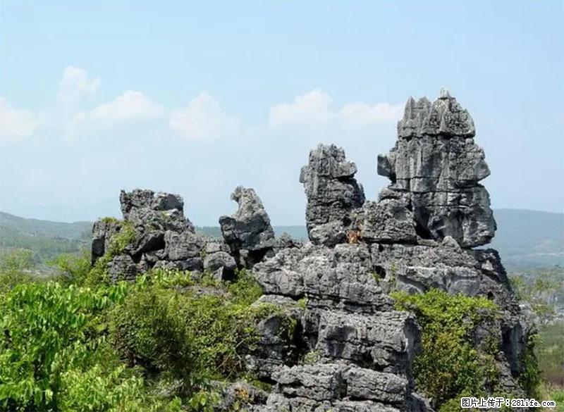 桂林旅游名城景点：灌阳文市石林 - 游山玩水 - 广州生活社区 - 广州28生活网 gz.28life.net
