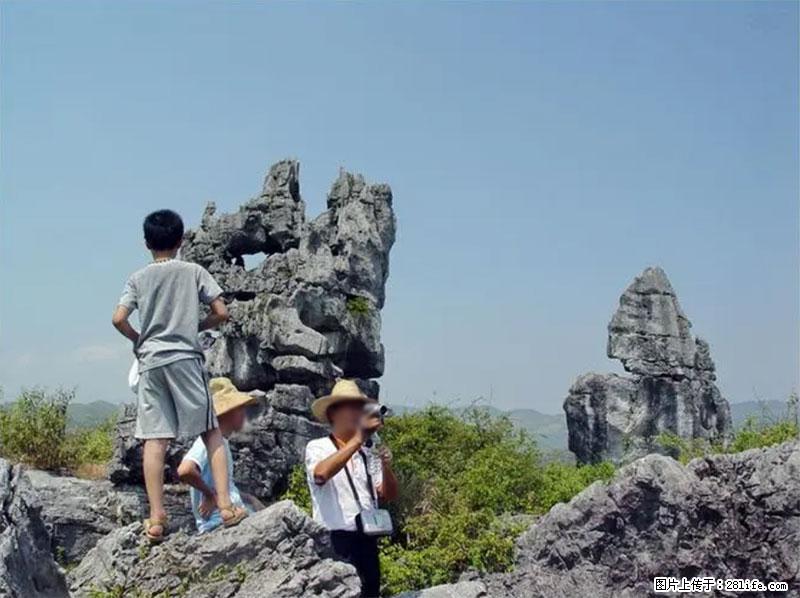 桂林旅游名城景点：灌阳文市石林 - 游山玩水 - 广州生活社区 - 广州28生活网 gz.28life.net