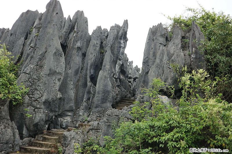 桂林旅游名城景点：灌阳文市石林 - 游山玩水 - 广州生活社区 - 广州28生活网 gz.28life.net