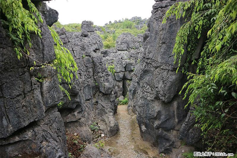 桂林旅游名城景点：灌阳文市石林 - 游山玩水 - 广州生活社区 - 广州28生活网 gz.28life.net