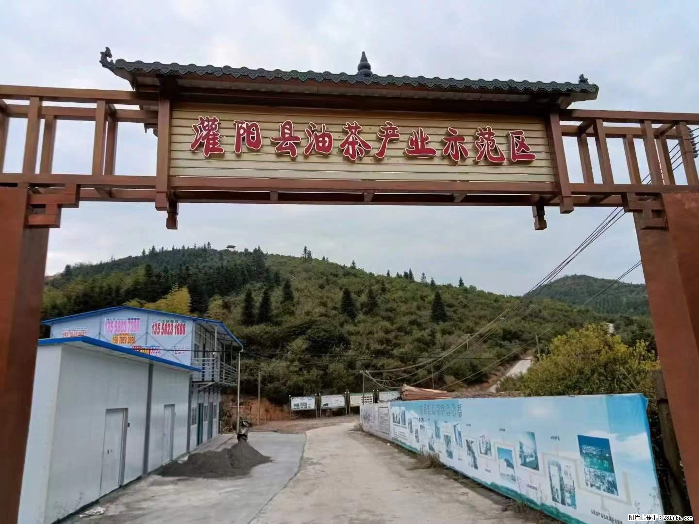 【灌阳县油茶产业示范区】一个有着充实的精神生活的人，对待身外之物自会有一种淡泊的态度 - 土特产 - 饮食特产 - 广州分类信息 - 广州28生活网 gz.28life.net