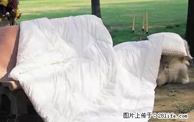 被子有异味？只要这样做，比晒太阳还强100倍！ - 家居生活 - 广州生活社区 - 广州28生活网 gz.28life.net