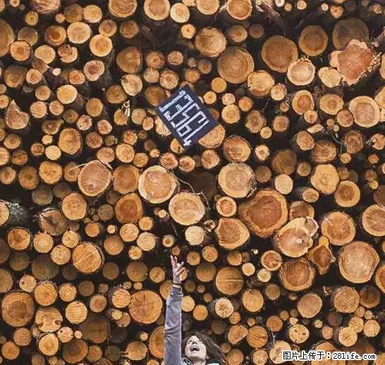 辞掉工作周游世界？现在他们在洗厕所…… - 游山玩水 - 广州生活社区 - 广州28生活网 gz.28life.net