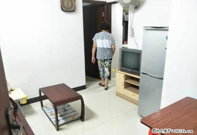 文德路 德雅轩 精装电梯一房 拎包入住 秉正小学 农讲所地铁 - 房屋出租 - 房屋租售 - 广州分类信息 - 广州28生活网 gz.28life.net