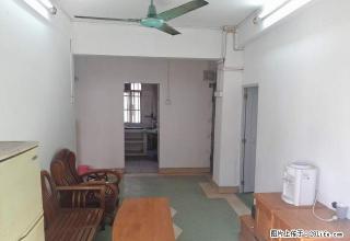 飞鹅西小区 居家3室,新鲜出炉,火热出租 - 广州28生活网 gz.28life.net