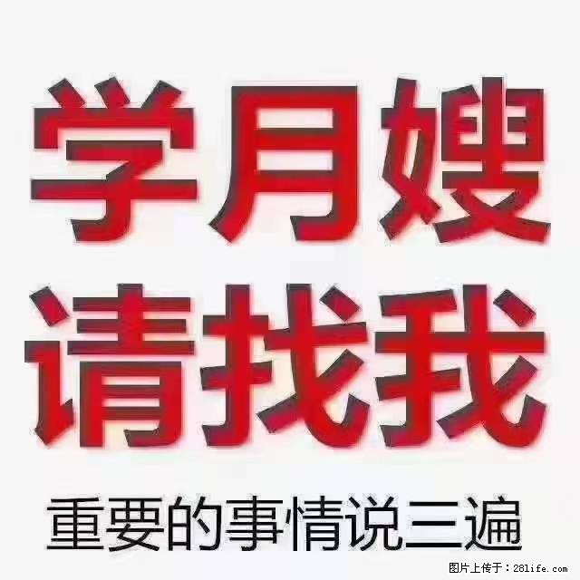 【招聘】月嫂，上海徐汇区 - 职场交流 - 广州生活社区 - 广州28生活网 gz.28life.net
