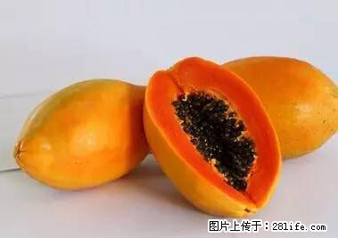 晕车、脚气、牙齿变黄、皮肤粗糙？学会这些三分钟搞定！ - 广州生活资讯 - 广州28生活网 gz.28life.net