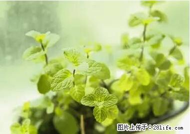 晕车、脚气、牙齿变黄、皮肤粗糙？学会这些三分钟搞定！ - 广州生活资讯 - 广州28生活网 gz.28life.net