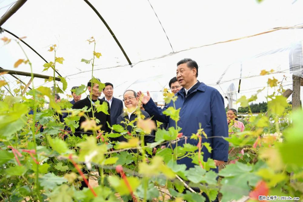 习近平赴广西考察调研 - 广州生活资讯 - 广州28生活网 gz.28life.net