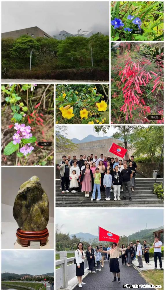 “粤灌文化 美好生活”油茶文化主题活动在广东深圳成功举办 - 广州生活资讯 - 广州28生活网 gz.28life.net
