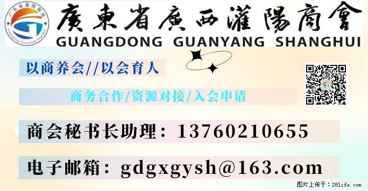 “粤灌文化 美好生活”油茶文化主题活动在广东深圳成功举办 - 广州生活资讯 - 广州28生活网 gz.28life.net