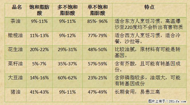 揭秘茶油的5大核心营养成分！被称为人体健康的“守护盾”！ - 广州生活资讯 - 广州28生活网 gz.28life.net
