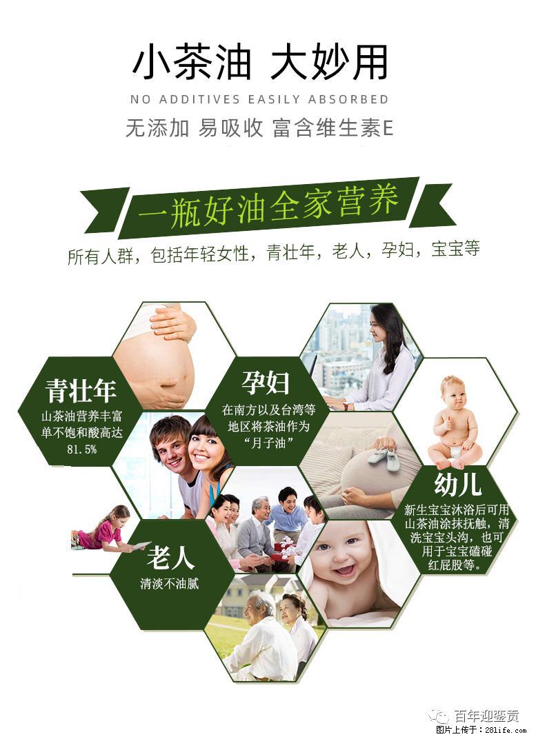 世界没有真相，只有认知，最好的食用油是中国的山茶油！ - 广州生活资讯 - 广州28生活网 gz.28life.net