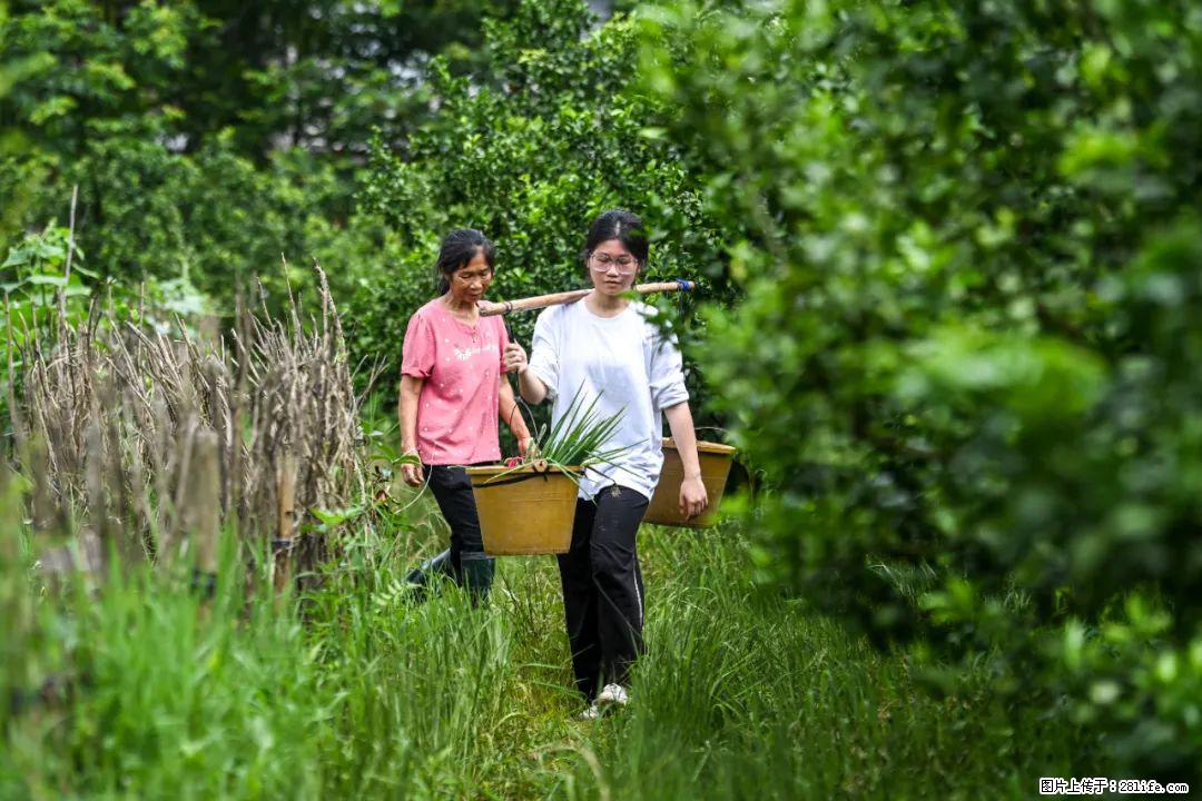 全网追的“扁担女孩”，找了一份暑假工，时薪12元 - 广州生活资讯 - 广州28生活网 gz.28life.net