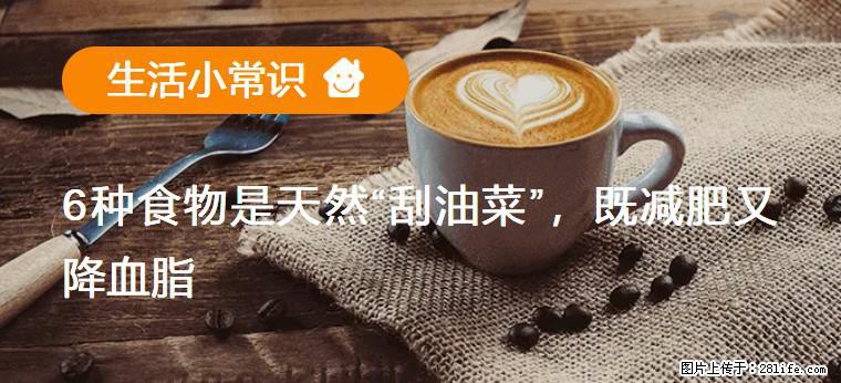 【生活小常识】6种食物是天然“刮油菜”，既减肥又降血脂 - 广州生活资讯 - 广州28生活网 gz.28life.net
