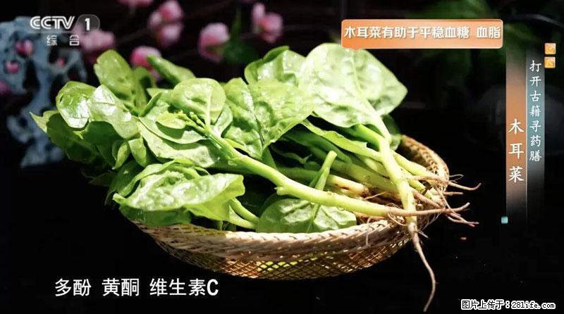 比牛奶补钙还厉害！凉血解毒、稳血糖...这菜冬天必吃，很多人却当草 - 广州生活资讯 - 广州28生活网 gz.28life.net