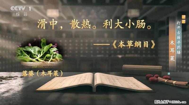 比牛奶补钙还厉害！凉血解毒、稳血糖...这菜冬天必吃，很多人却当草 - 广州生活资讯 - 广州28生活网 gz.28life.net