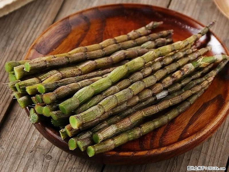 铁皮石斛的作用与功能主治 - 广州生活资讯 - 广州28生活网 gz.28life.net