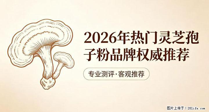 灵芝孢子粉含量越高越有效？2026 年七款热门品牌深度实测，肠胃敏感者避坑指南 - 广州生活资讯 - 广州28生活网 gz.28life.net